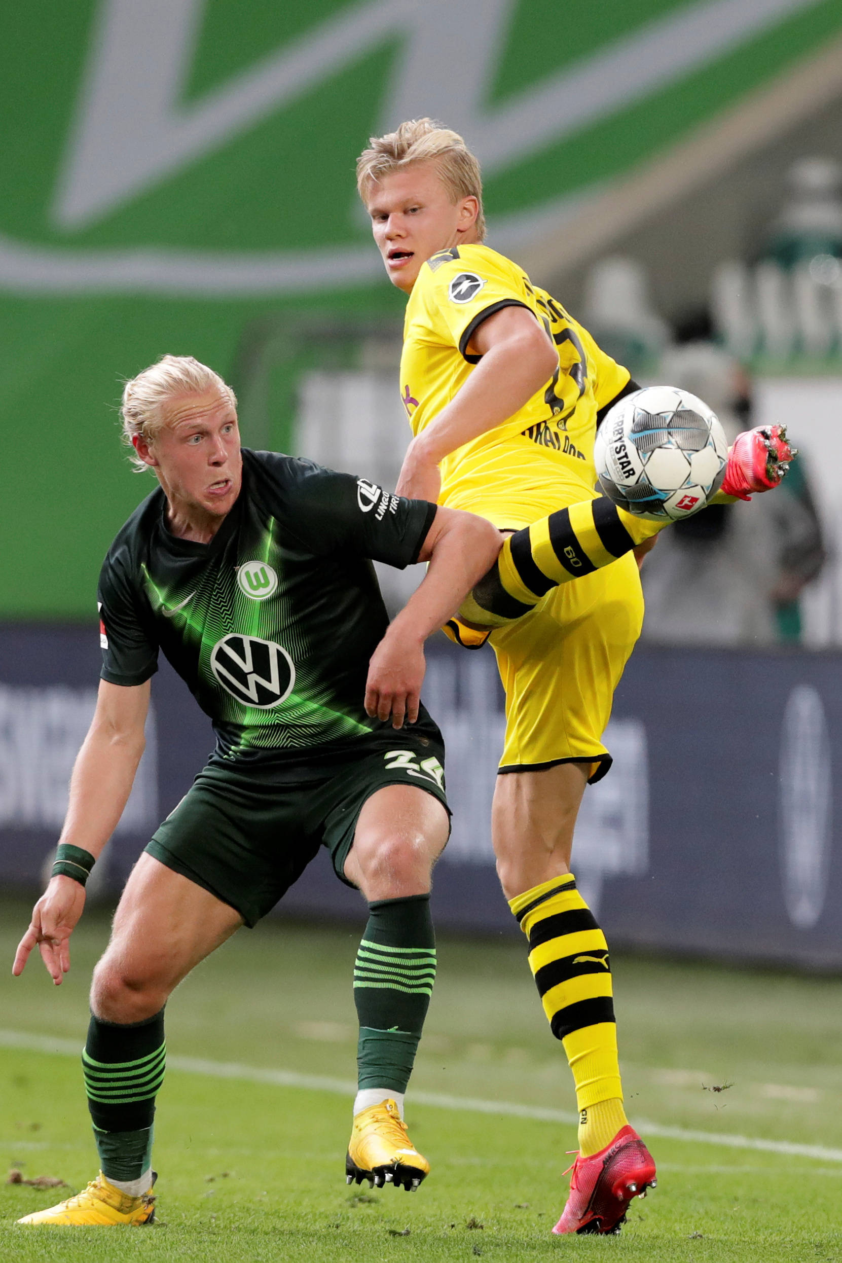 阳光透过微 阳光透过微