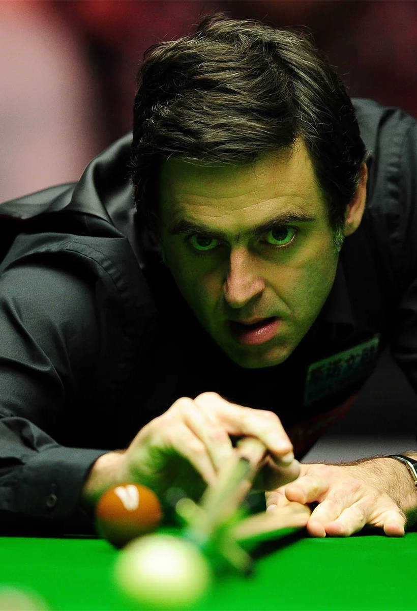 腹直肌浅分 腹直肌浅分